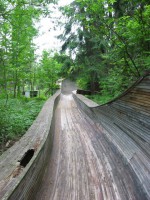 /album/fotogaleria-blog/tl-z-c-12-jpg/